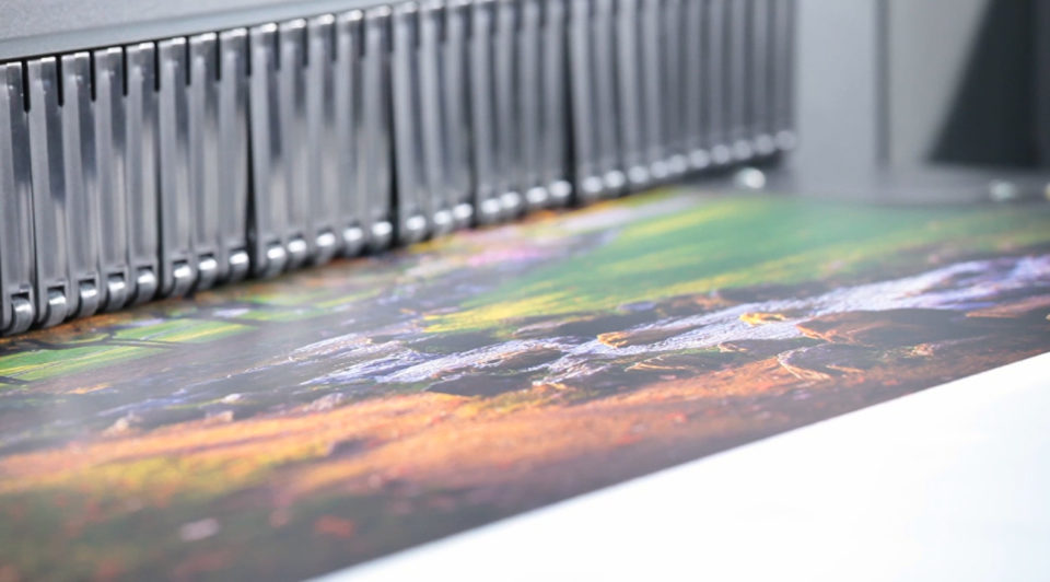 Stampa e Pubblicità